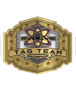 Alternative view of WWE Evolve Tag Team Championship Belt